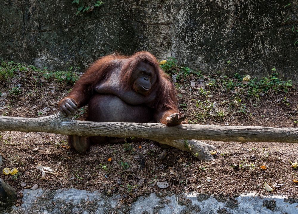 Photograph by Виктор ЛЬГОТИН