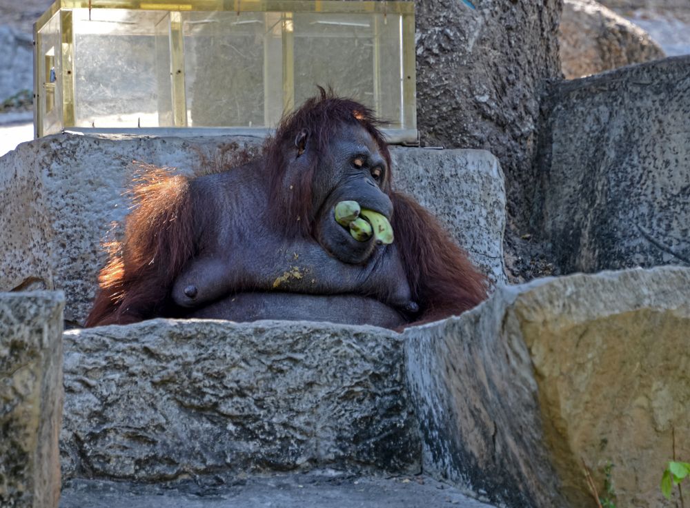 Photograph by Виктор ЛЬГОТИН