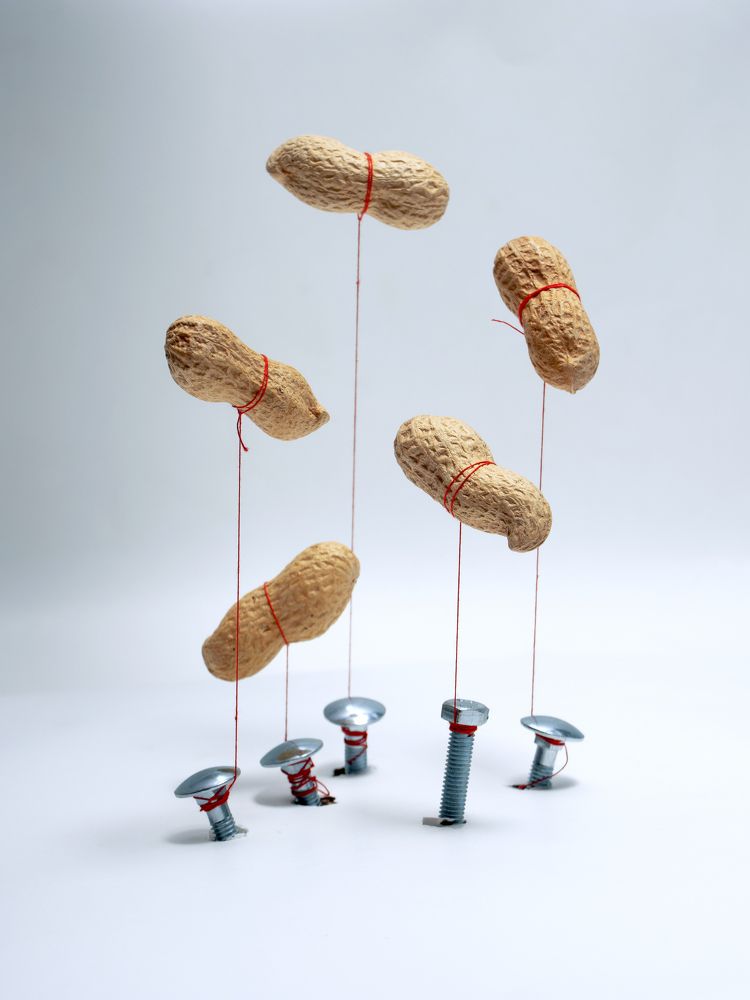 Photograph by Иван Труфанов