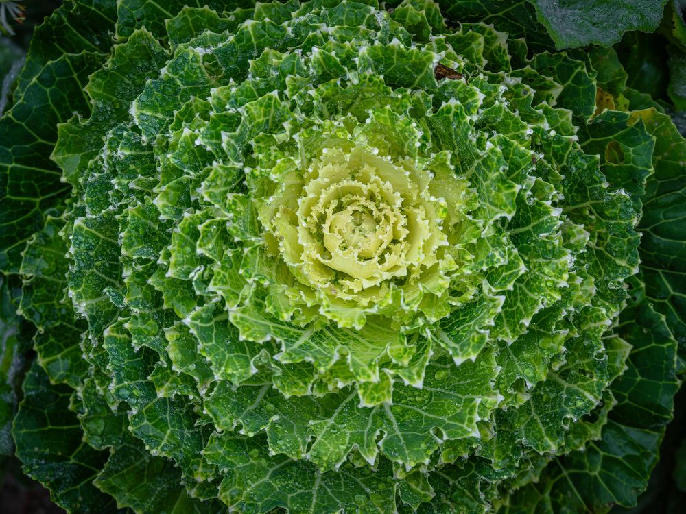 Фотография автора Erik Nelson