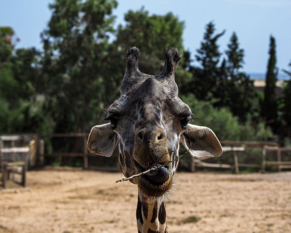 Photograph by Виктор ЛЬГОТИН