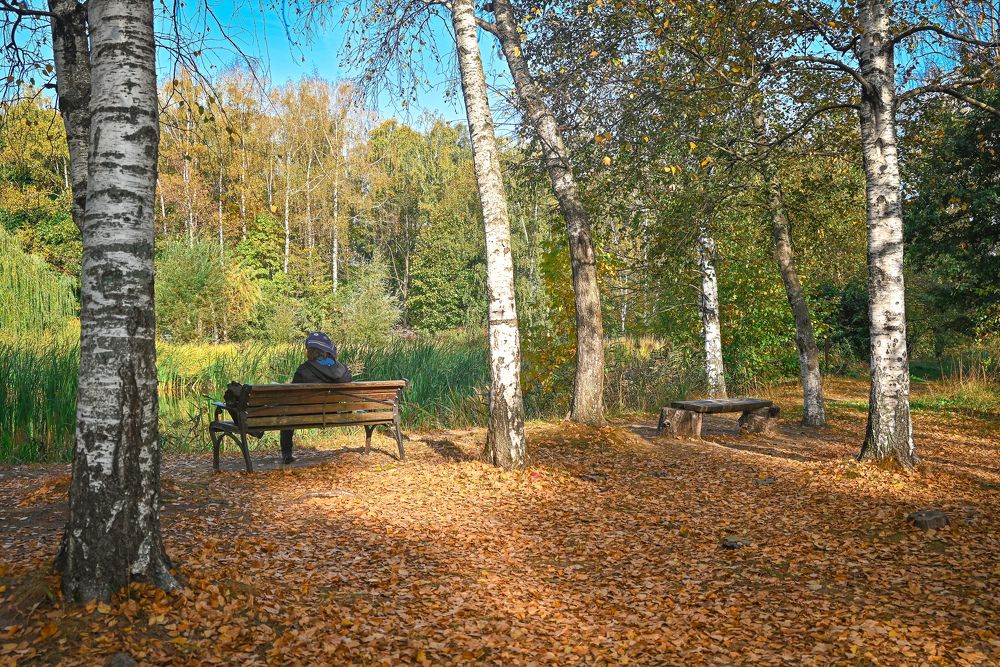 Фотография автора Сморчков Сергей