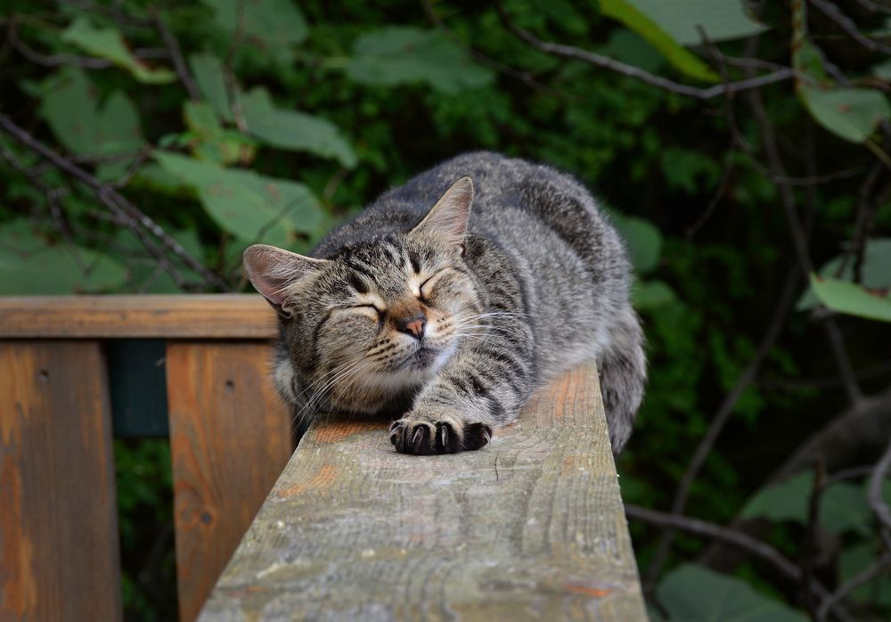 Photograph by Inna Ivanova