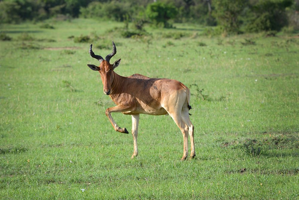 Photograph by Inna Ivanova
