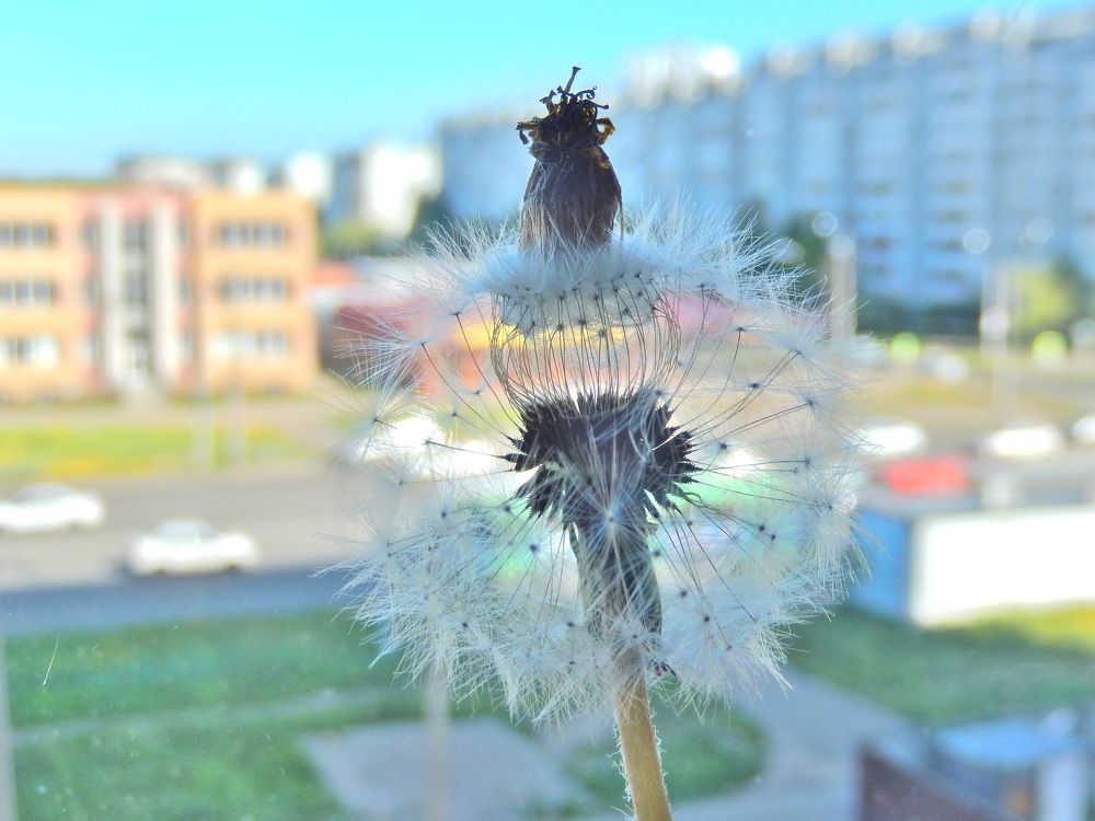 Фотография автора Клавдия Васильева