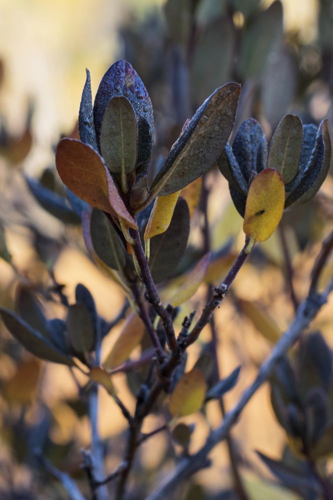 Photograph by Светлана Козлова