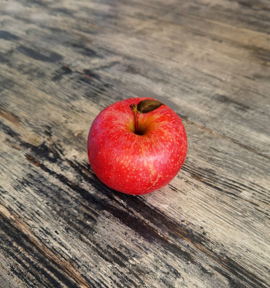 Photograph by Inna Ivanova