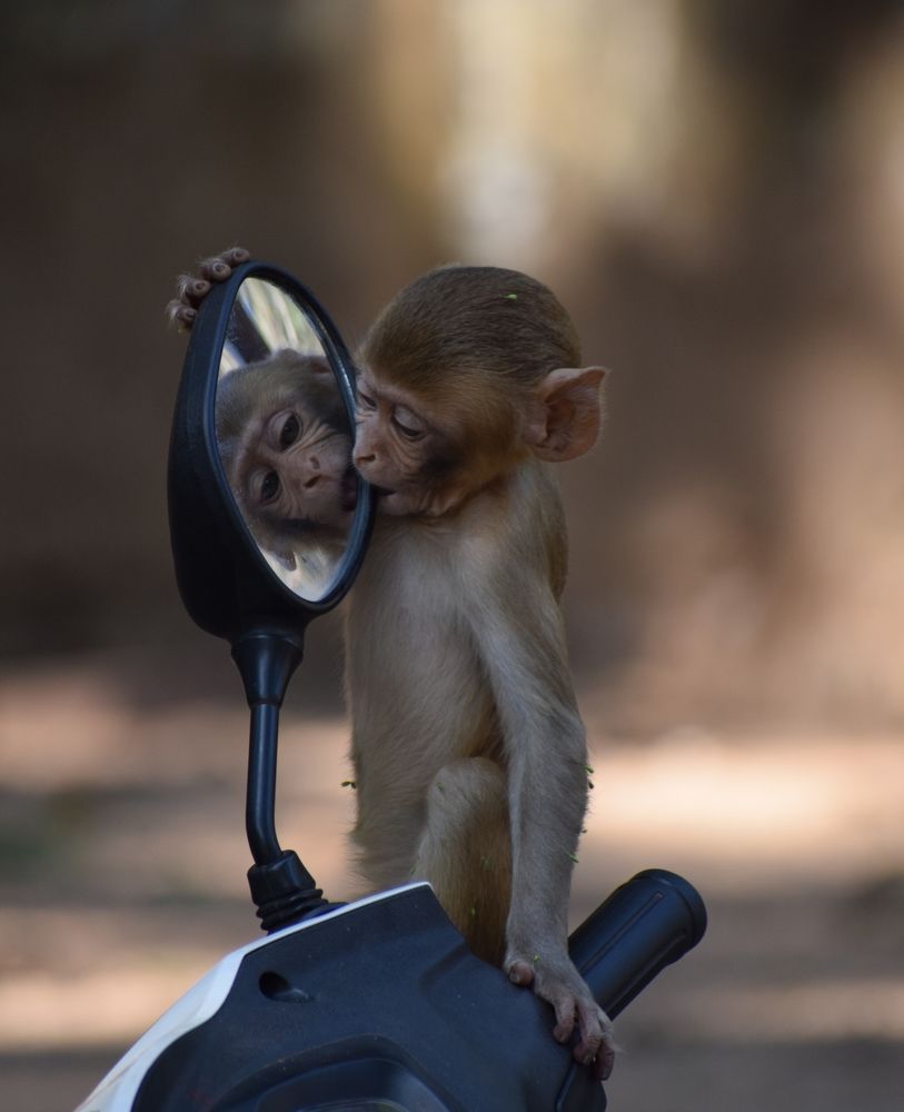 Photograph by Kuldeep Lodhi