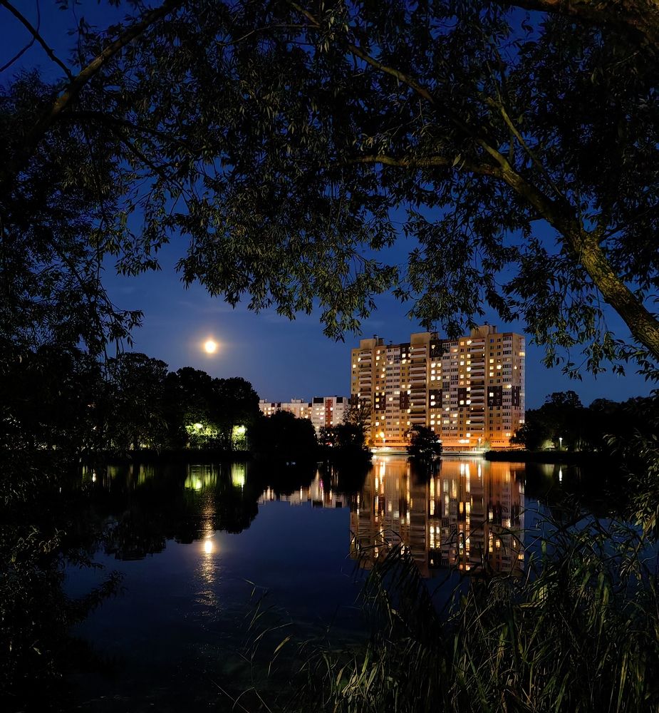 Photograph by Елизавета Лай