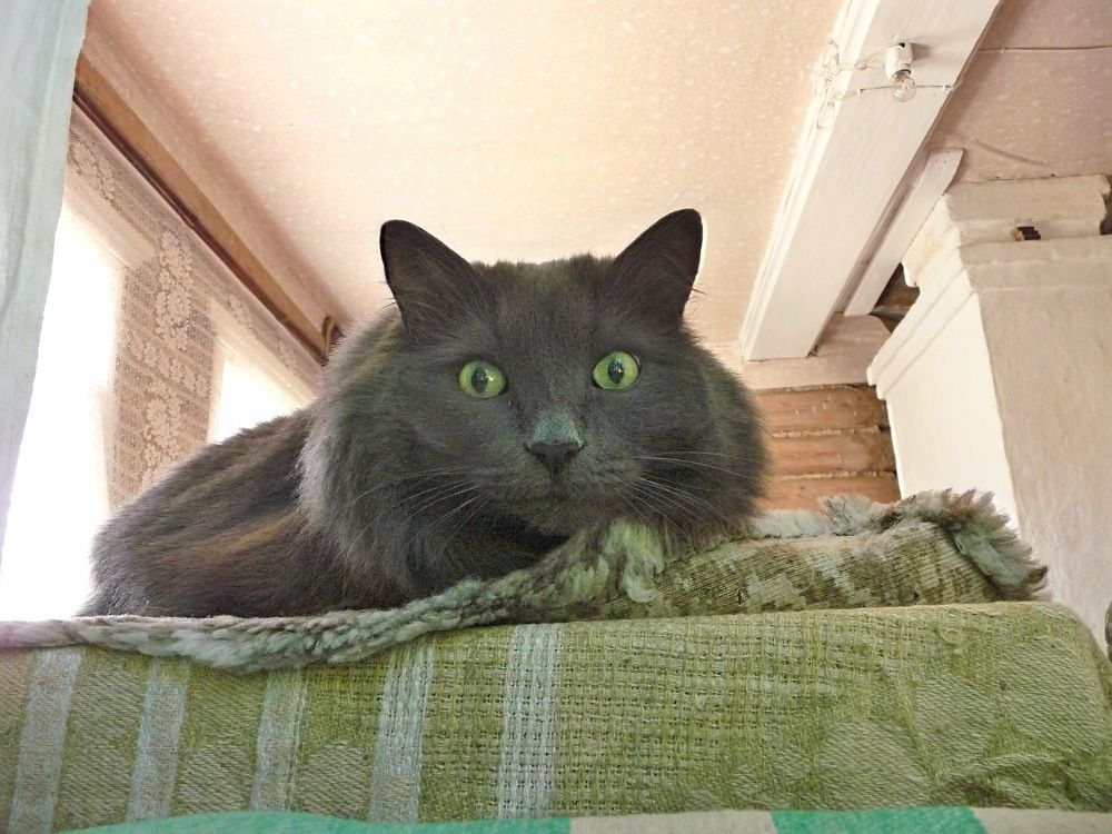 Фотография автора Клавдия Васильева