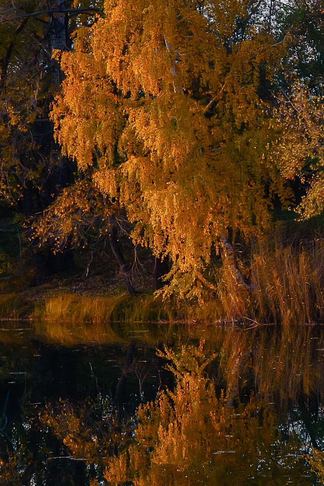 Photograph by Игорь Н. Адамов