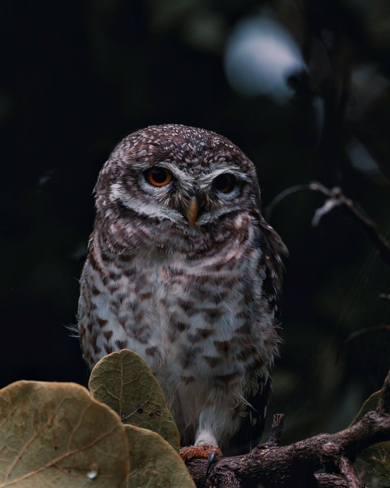 Photograph by Kuldeep Lodhi