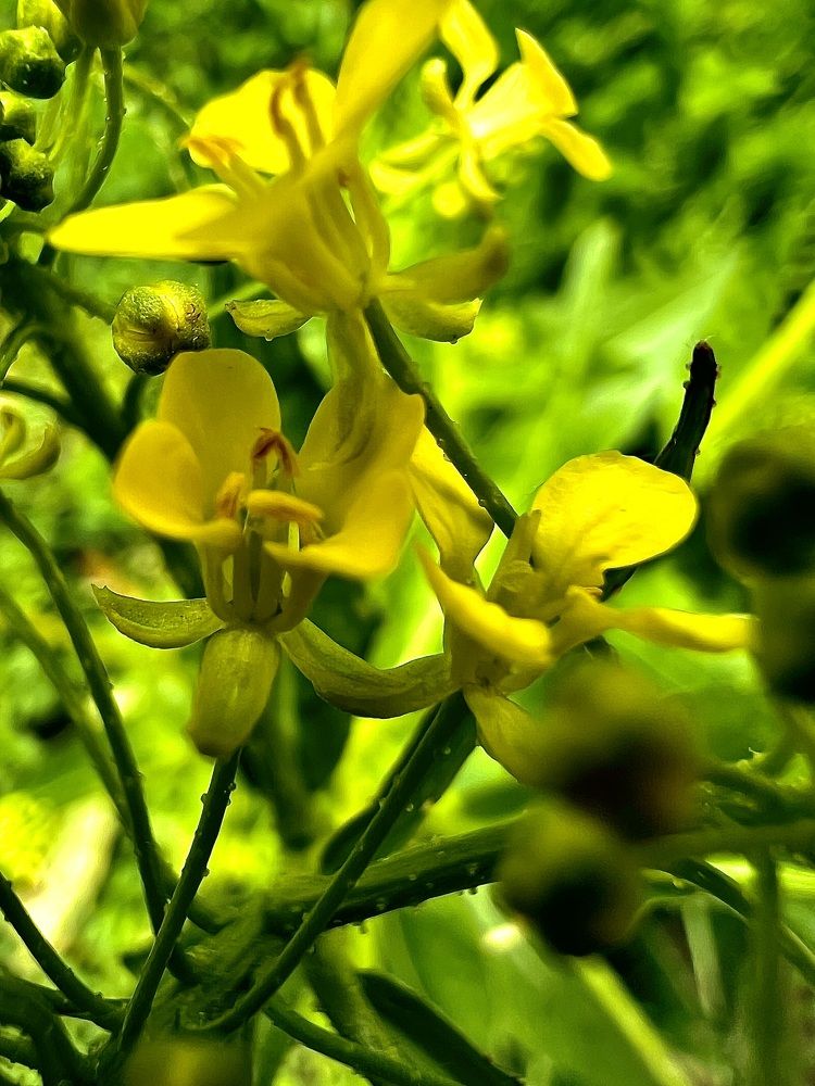 Photograph by Татьяна Зенина