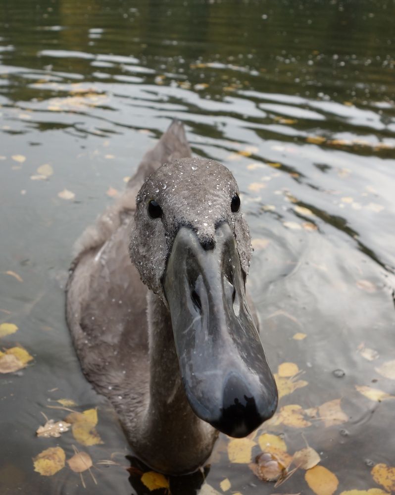 Photograph by Василий Селиванов
