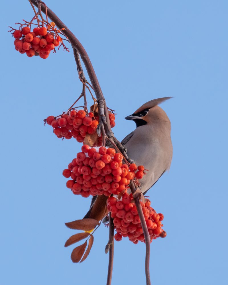 Photograph by Виталий Бодрягин