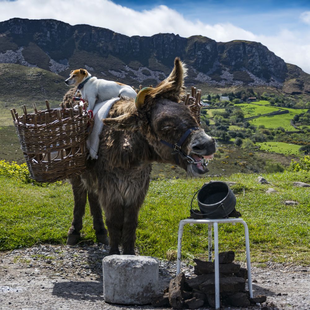 Photograph by Adrian Stanica