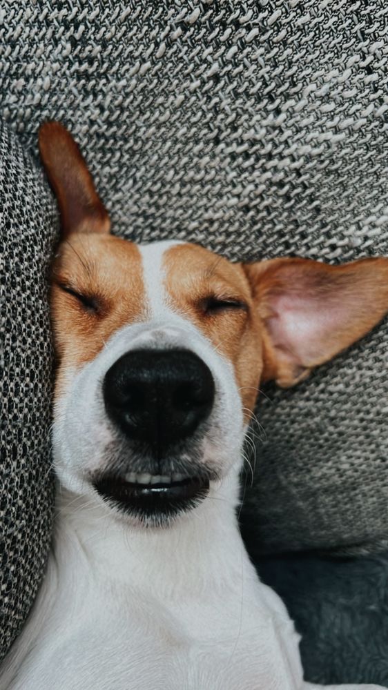 Фотография автора Юлия Красовская