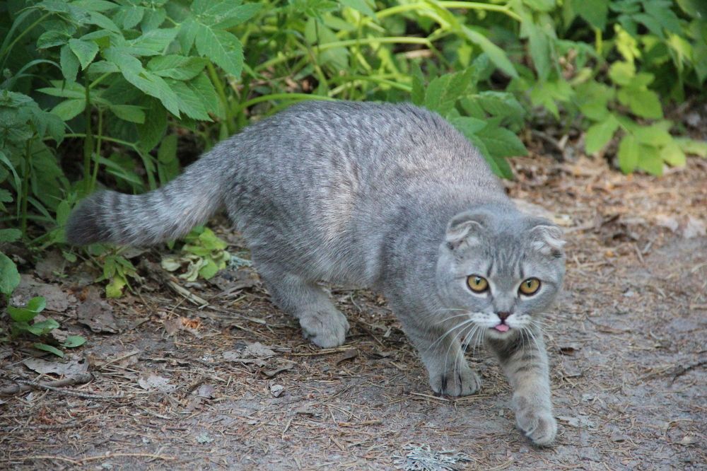 Photograph by Валентина