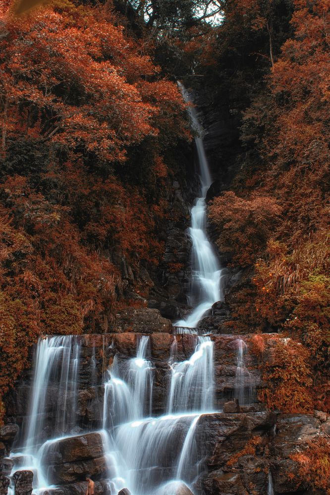 Photograph by Chamara Sulakkhana Polwatta Siriyalage