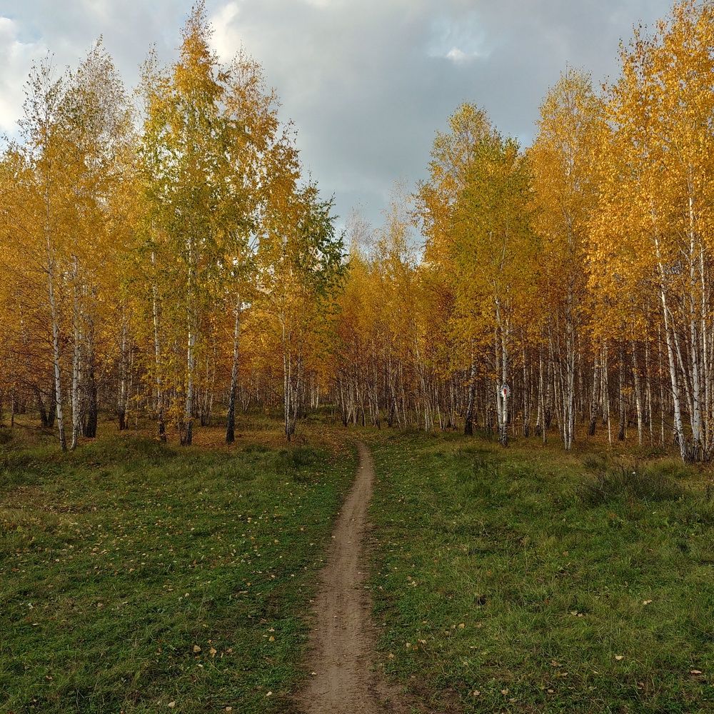 Photograph by Константин Степанов