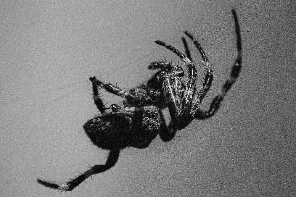 Photograph by Виктория Селютина