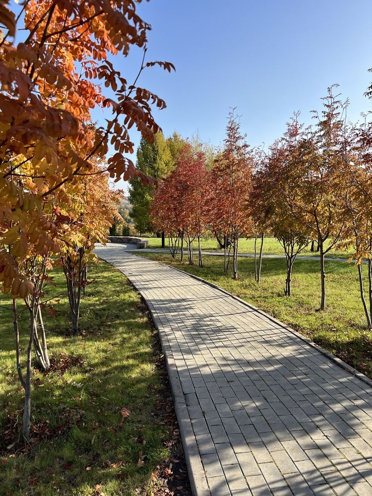 Photograph by Елена Мизина