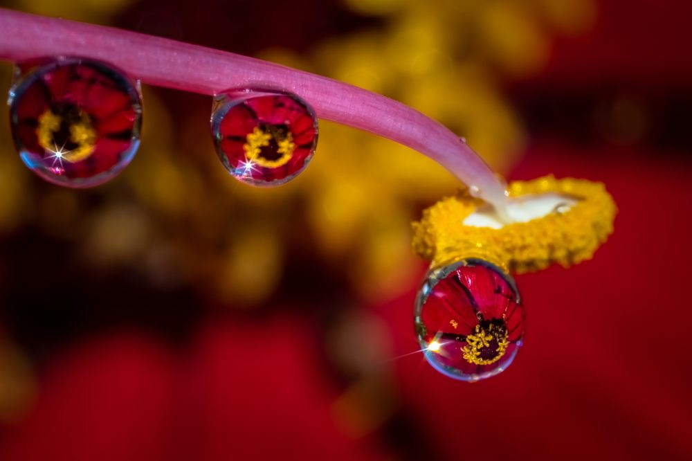 Photograph by Николай Фонарёв