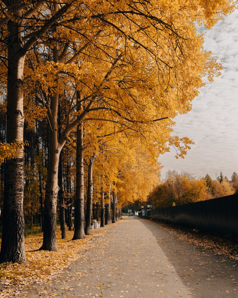 Photograph by Андрей Худзиев