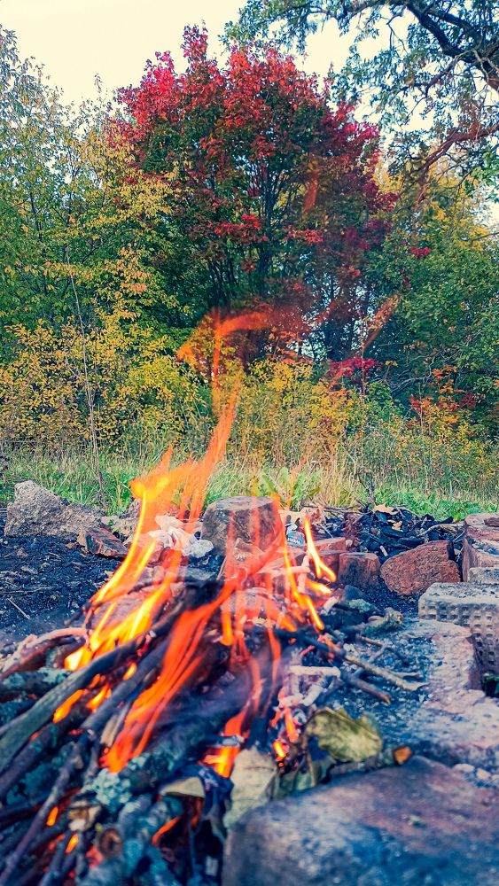 Photograph by Альберт Габбасов