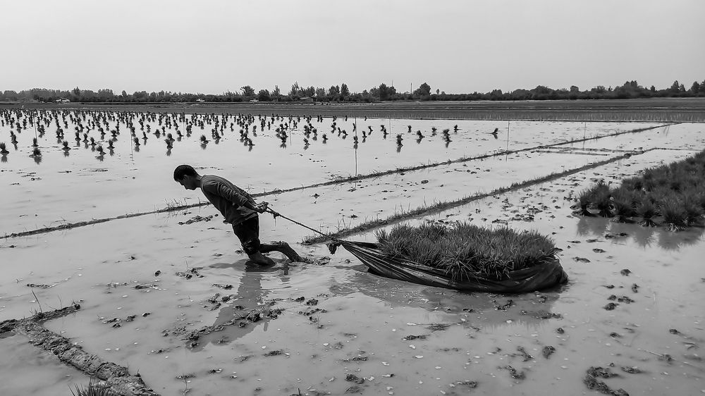 Photograph by mahdi ghanbari