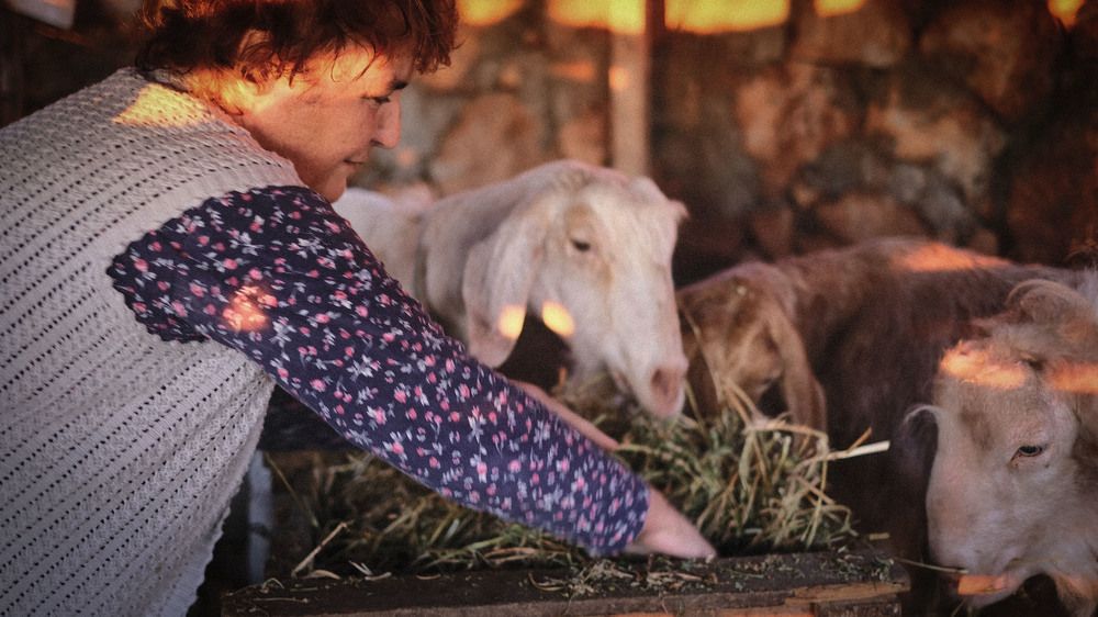 Photograph by Misha Khazov