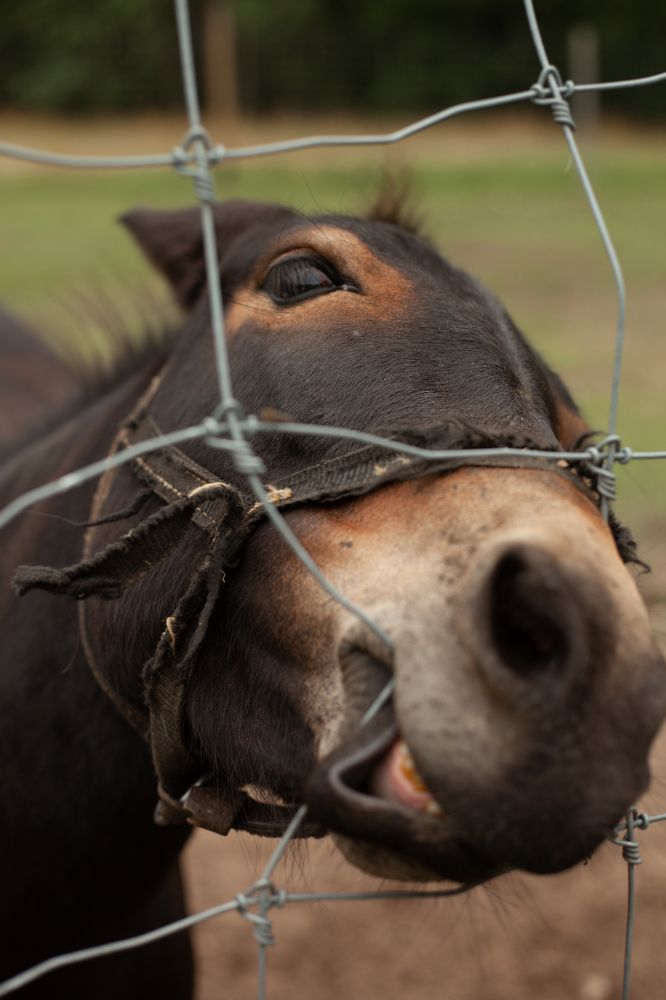 Фотография автора Юлия Красовская
