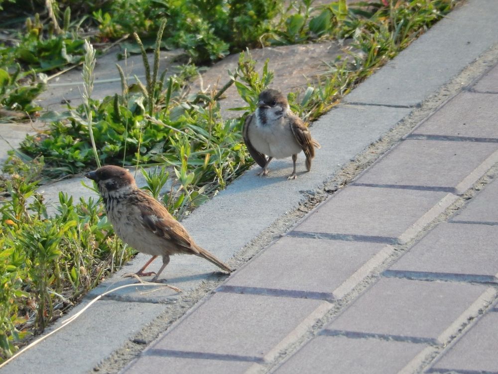 Фотография автора Клавдия Васильева