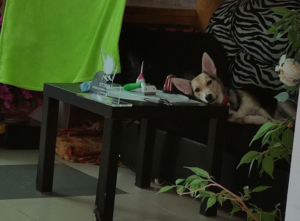 Photograph by Александр