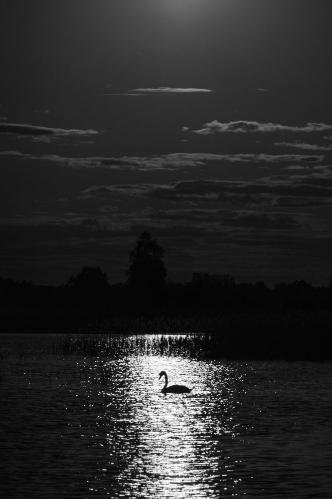 Photograph by Сергей