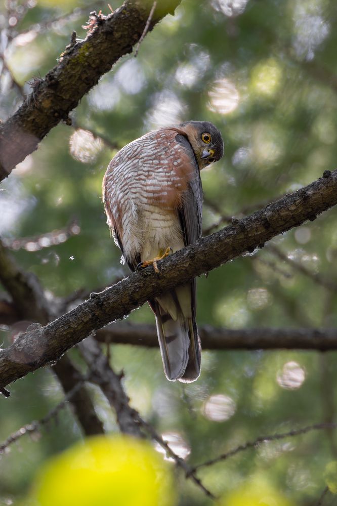 Photograph by Антон Науменко