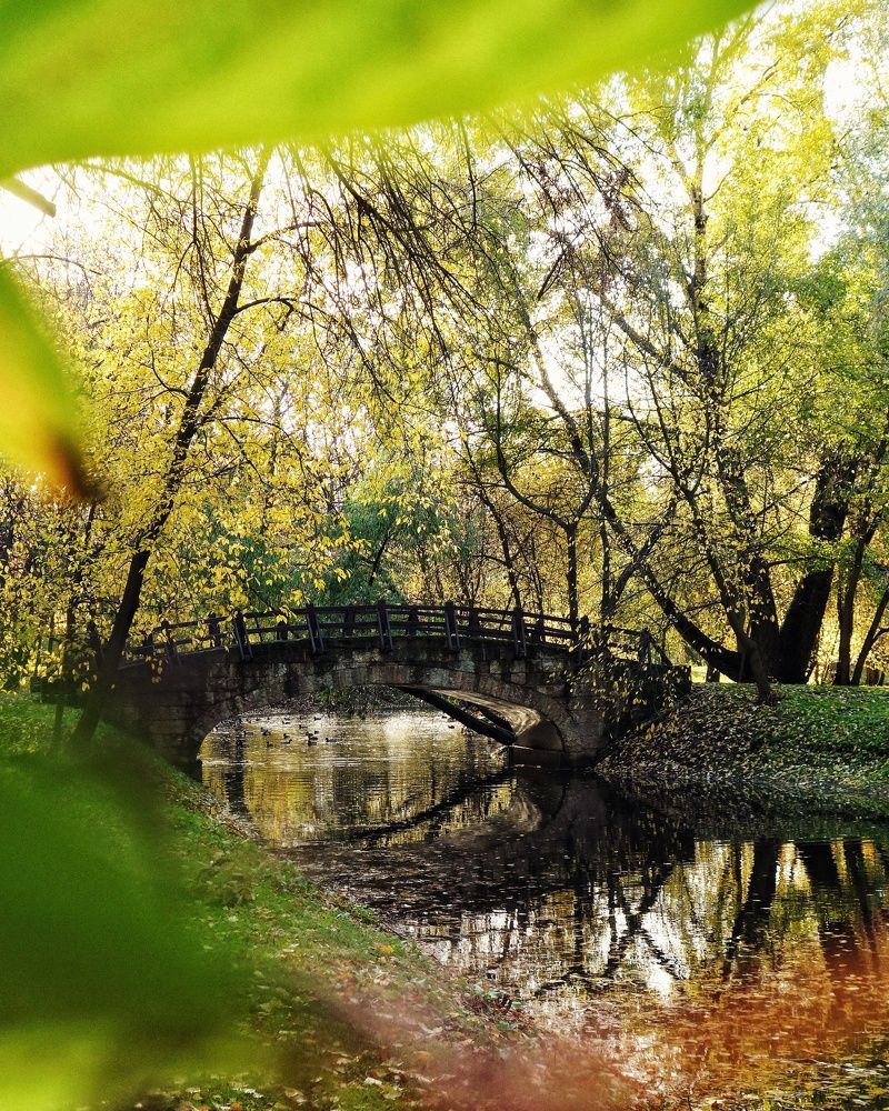 Photograph by Василий Селиванов