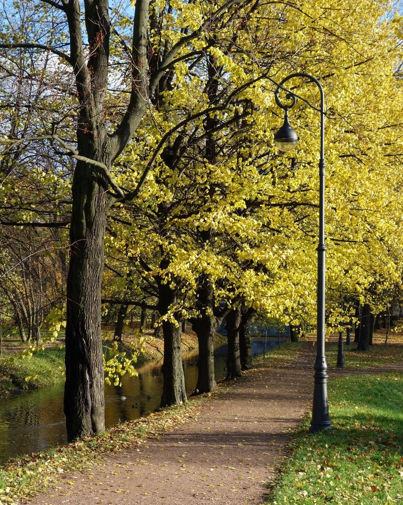 Photograph by Василий Селиванов