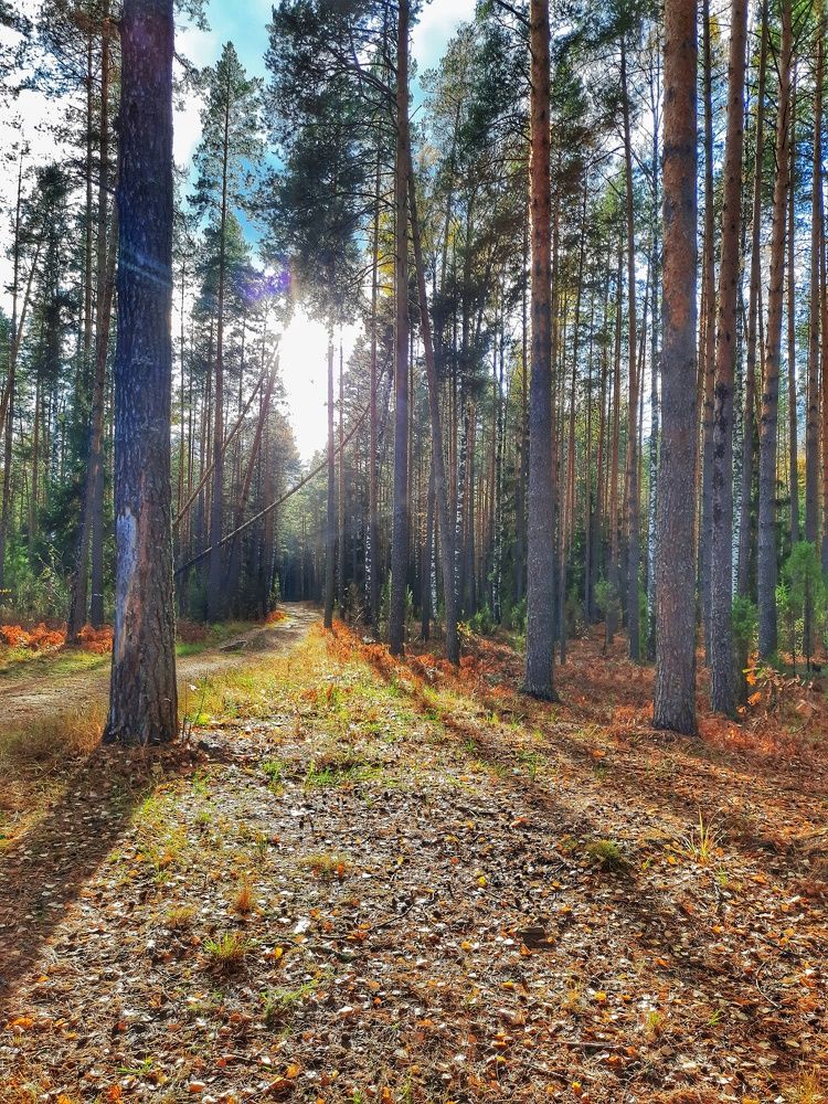 Photograph by Мария Андреева