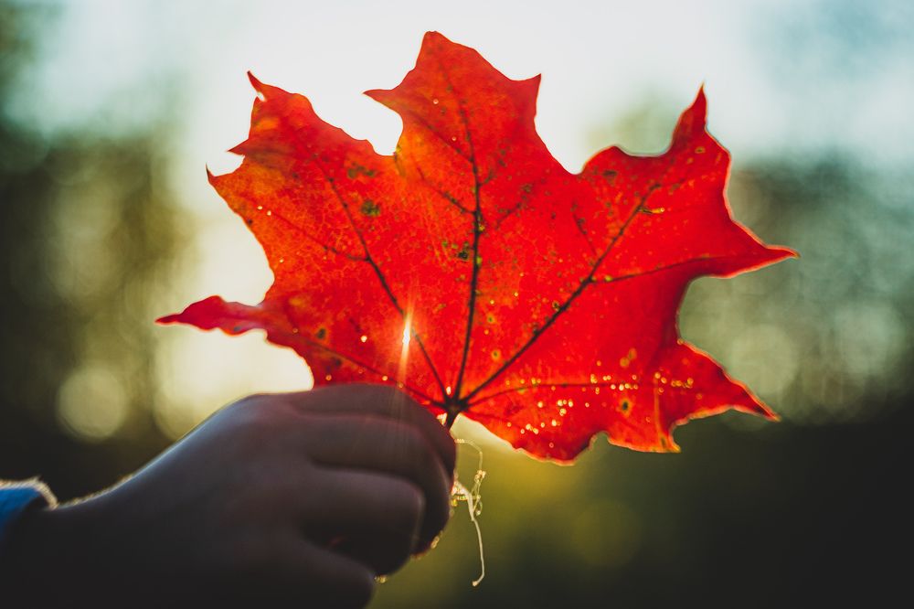 Photograph by Альберт Габбасов