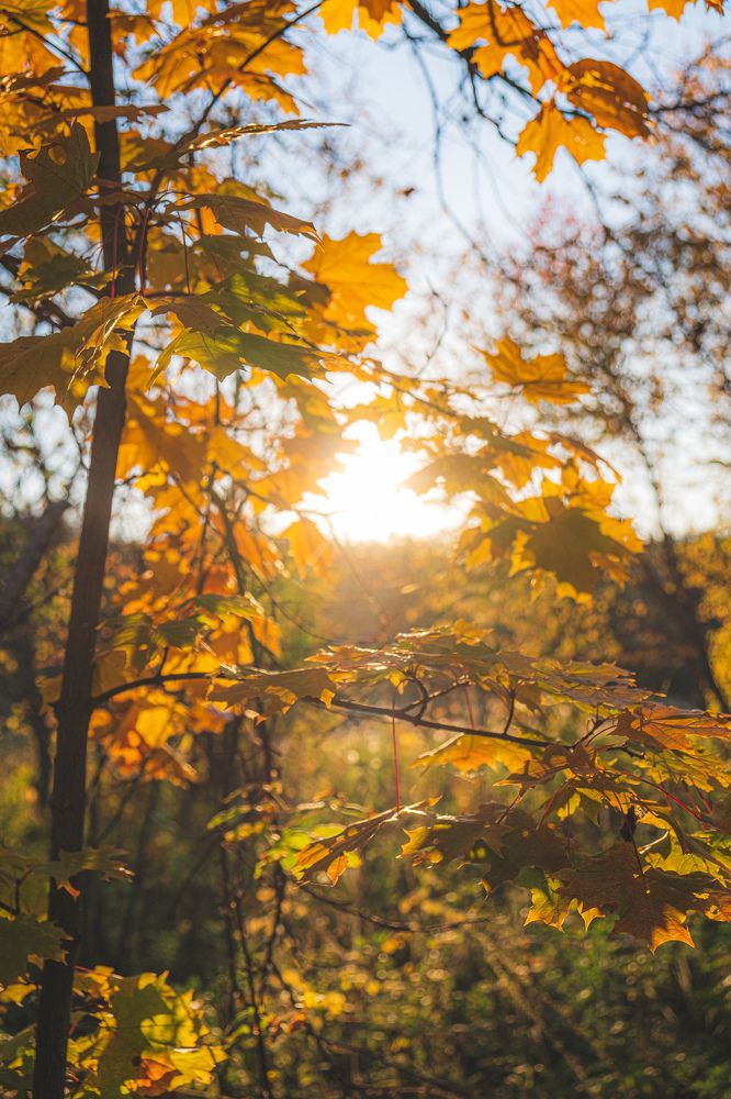 Photograph by Альберт Габбасов