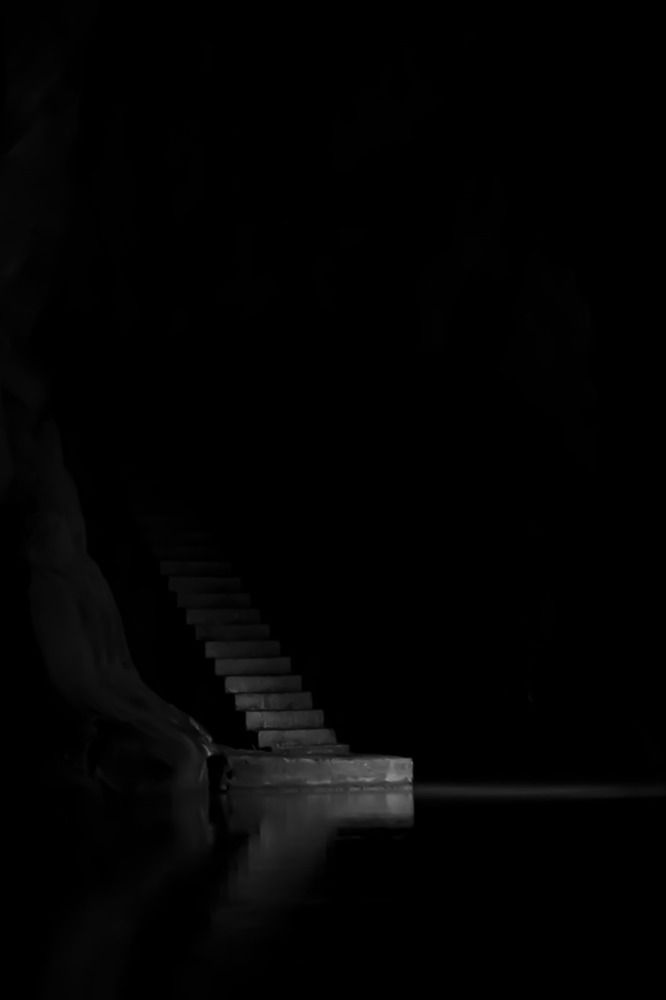 Photograph by Rafael Pictures