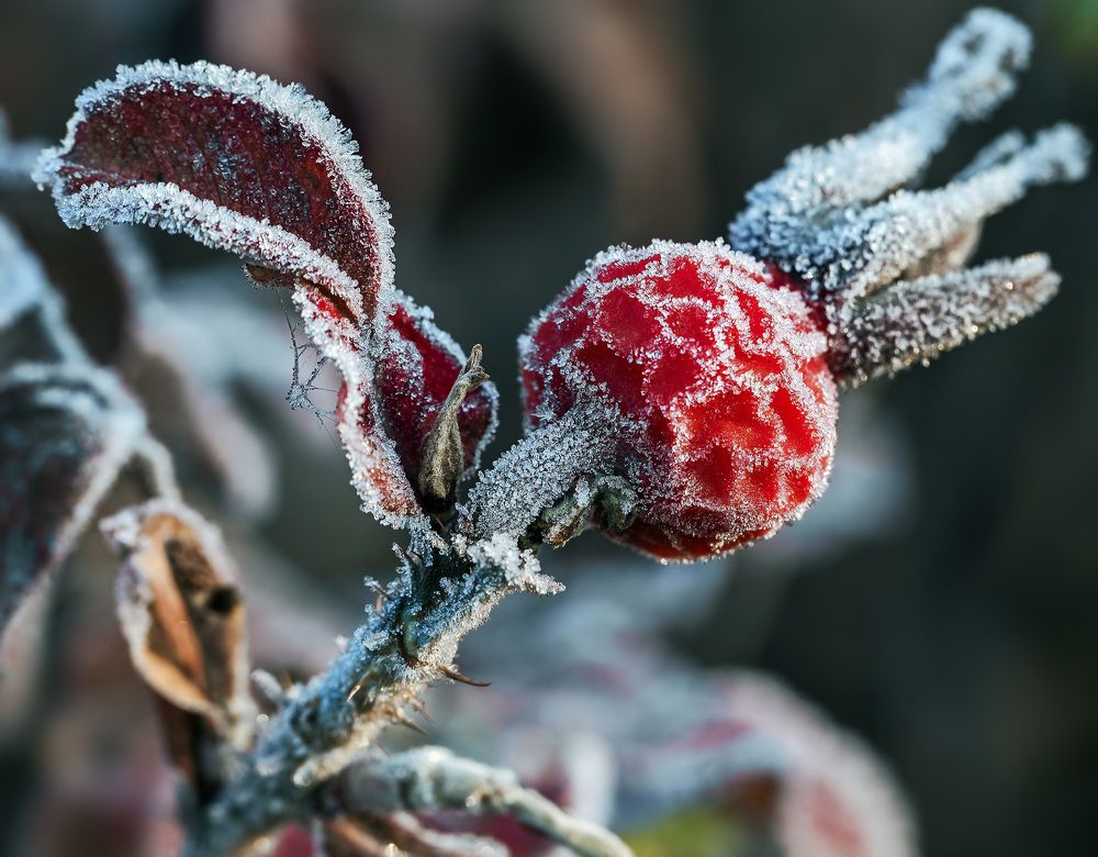 Photograph by Борис Новиков