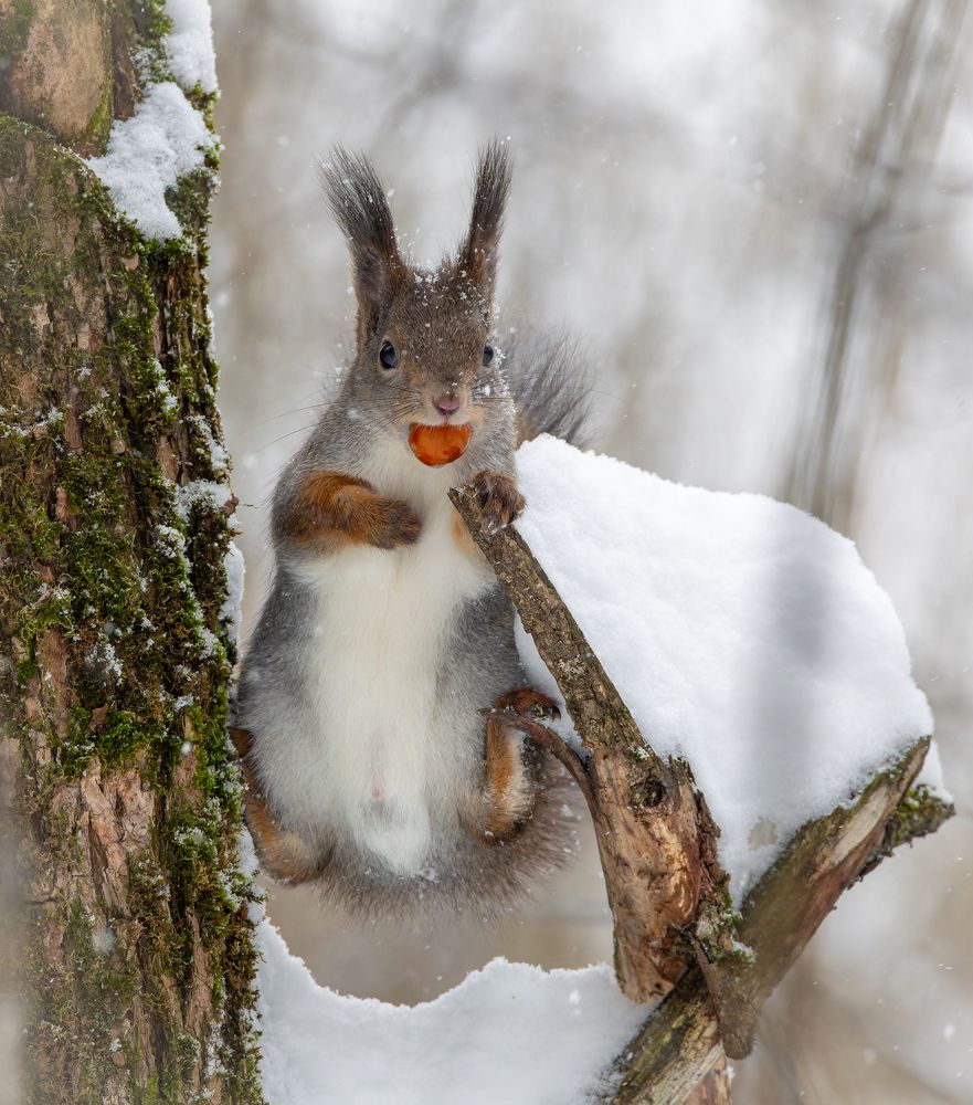 Photograph by Антон Науменко