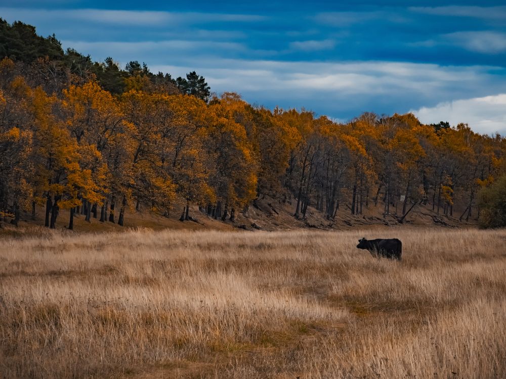 Photograph by Konstantin Martynov