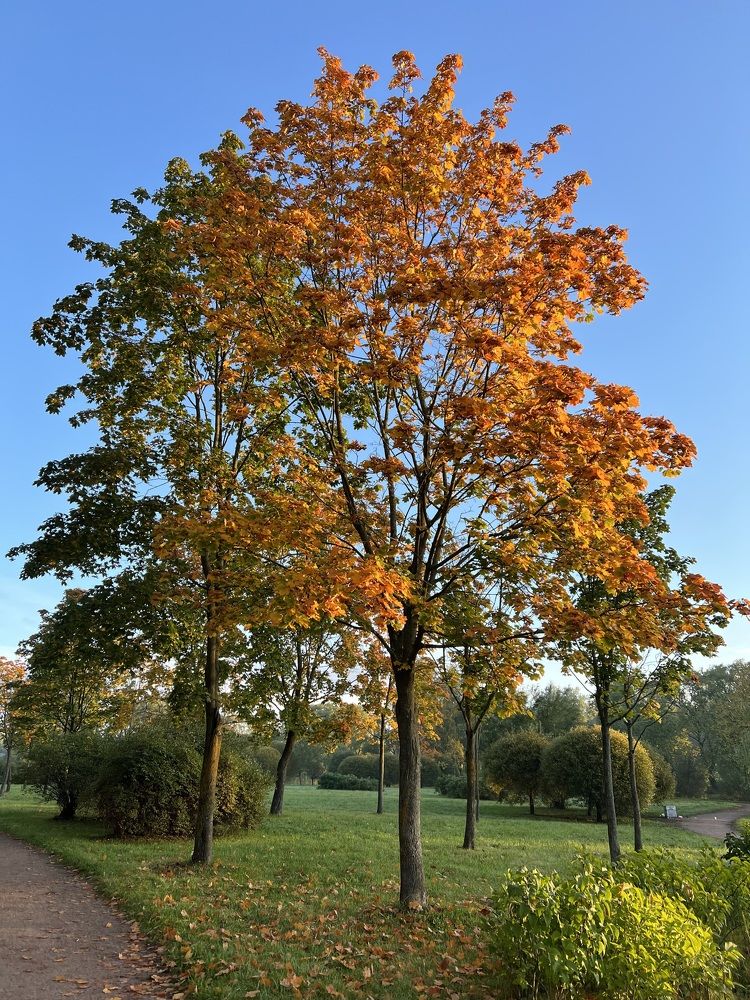 Photograph by Владимир Запорожченко