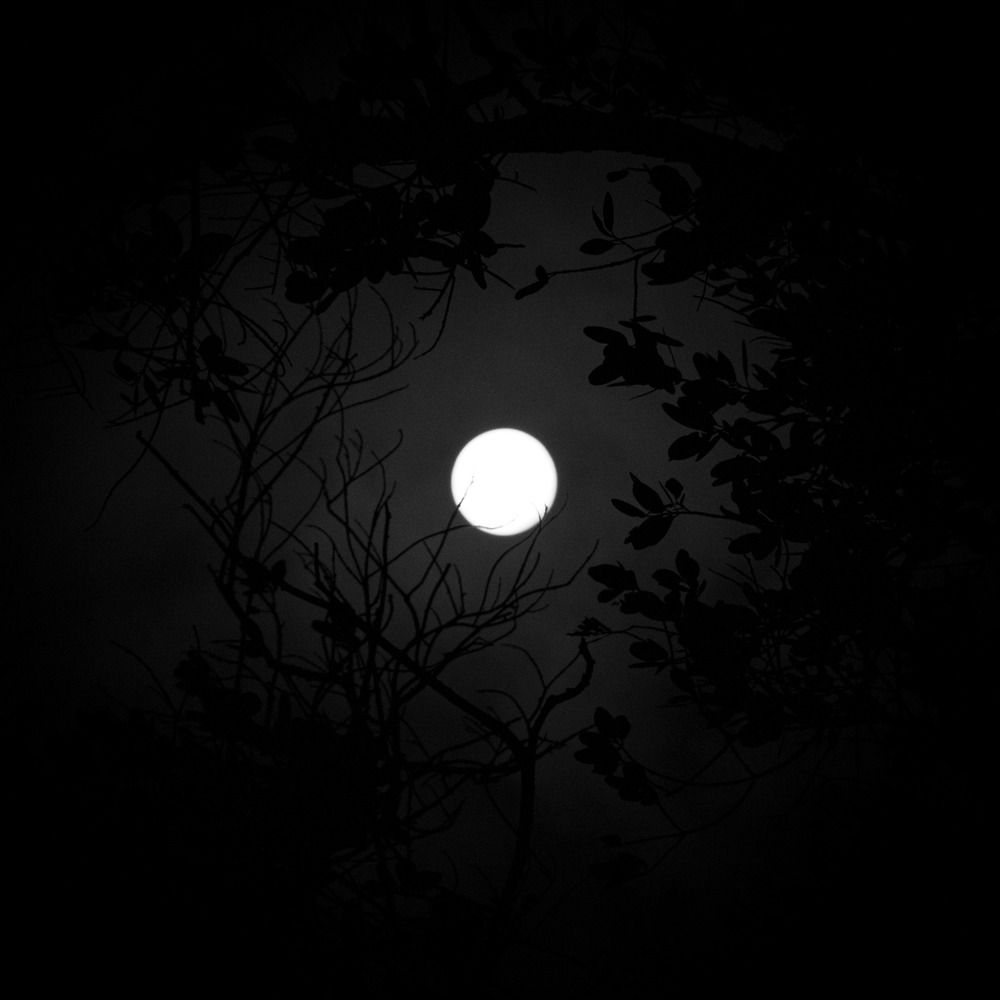 Photograph by Rafael Pictures