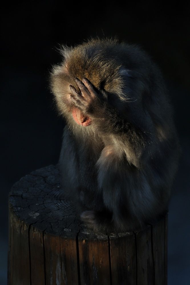 Photograph by Елена Кириллова