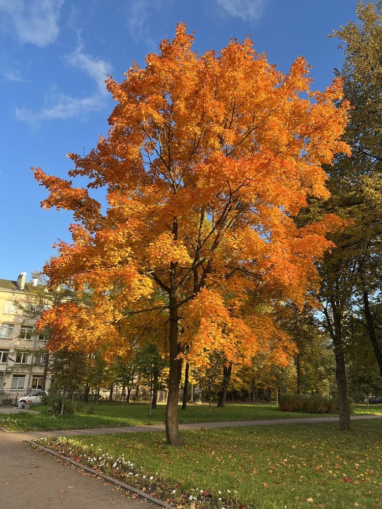 Photograph by Владимир Запорожченко