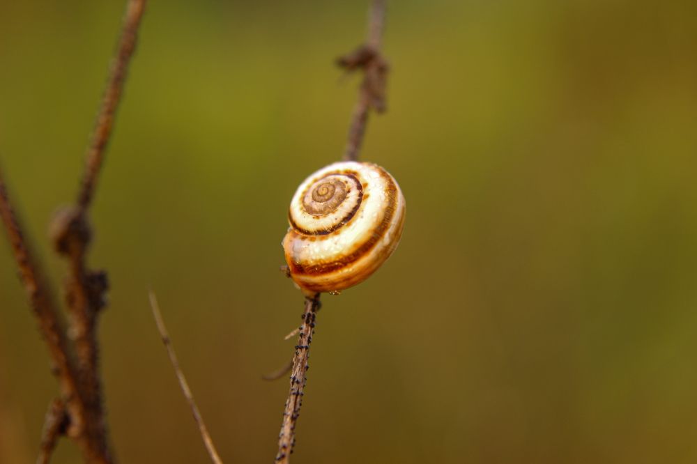 Photograph by Ирина Дмитриенко